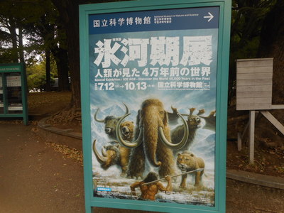 DSCN3907[1].JPG